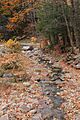 Roaring Run looking downstream