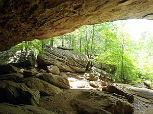 Rock House Cave, Petit Jean State Park 001