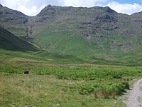 Rossett Pike and Gill
