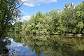 Shenango River in Jefferson Township