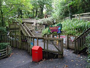 Snakes and ladders blackgang chine