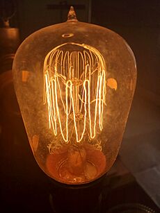 Squirrel Cage filament lamp