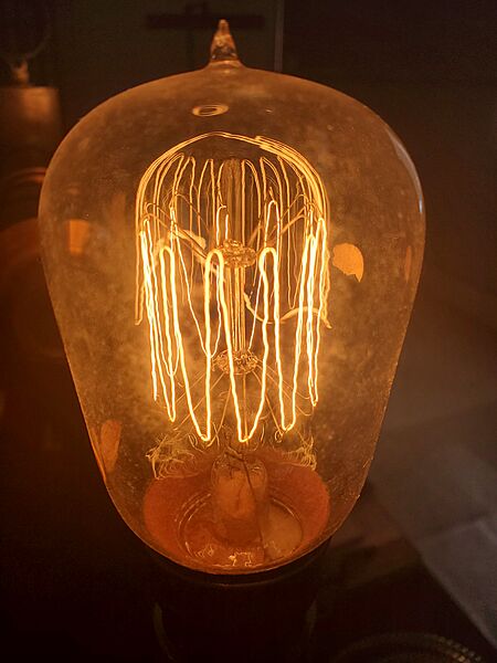 Squirrel Cage filament lamp