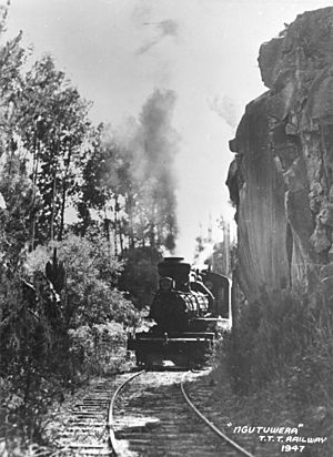 Steam locomotive on the Taupo Totara Timber Company railway line - 'Ngutuwera' T.T.T. Railway 1947