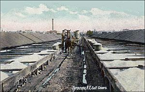 Syracuse 1900 salt-covers