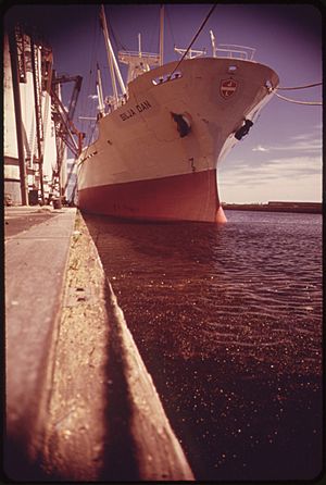 THE SHIPMENT OF GRAIN IS A MAJOR ACTIVITY OF DULUTH HARBOR. AS FREIGHTERS ARE LOADED, GRAIN PARTICLES ESCAPE INTO THE... - NARA - 551558