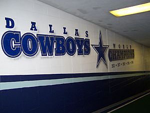 Texas Stadium - Dallas Cowboys World Champions Mural