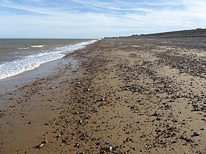 The Haven, Aldeburgh 8