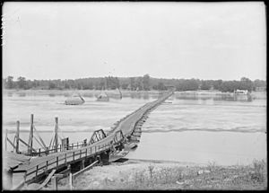 The longest pontoon bridge in the world, spanning Russellville and Dardanelle, Arkansas. - NARA - 516537