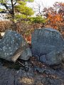 Tippling Rock in Sudbury Massachusetts near Nobscot Hill Reservation