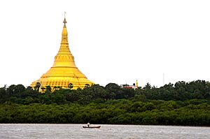 Truly gold Global Vipassana Pagoda