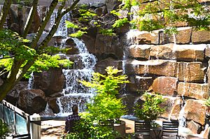 UPS.Waterfall.Park.Seattle