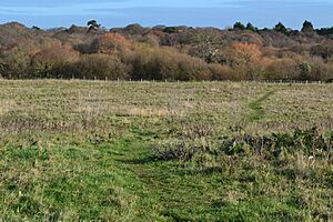 View from the top of Junkett Hill (geograph 5997379)