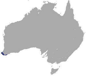 Western Ringtail Possum area.png