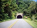 Young Pisgah Ridge Tunnel