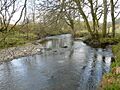 Afon Merddwr - geograph.org.uk - 785008
