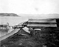 Alaska Codfish Co station, Squaw Harbor, Unga Island, Alaska, August 1913 (COBB 206)