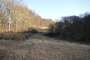 Alpine Meadow, Berkhamsted 5