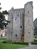 Ashtown Castle.jpg