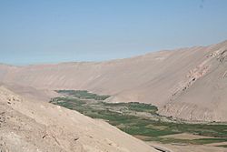 Azapa Valley Facts for Kids