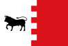 Flag of Villavaquerín, Spain