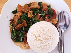 Basil fried crispy pork with rice - Chiang Mai - 2017-07-11 (002).jpg