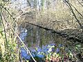 BastedMill3671