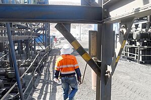 Bisha mine worker