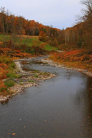 Bowman Creek looking downstream from State Route 3003 (1)