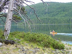 Brewster Lake Sayward Forest Canoe Route.jpg