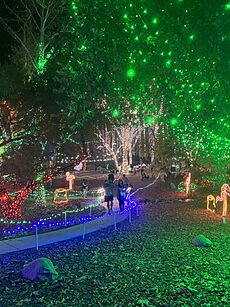 CALMChristmaslights