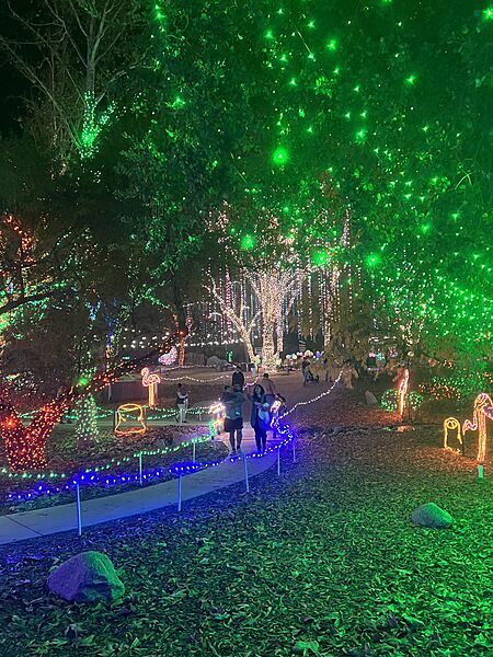 CALMChristmaslights
