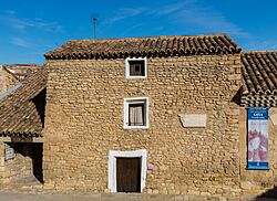 Casa natal de Francisco Goya, Fuendetodos, Zaragoza, España, 2015-01-08, DD 06