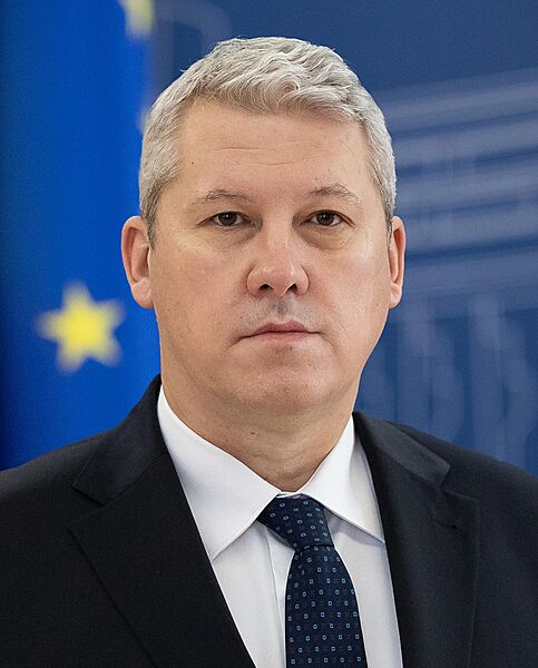 Catalin Predoiu (portrait crop)