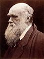 Charles Darwin by Julia Margaret Cameron 3