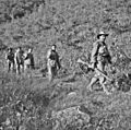 Chinese PWs Operation Commando Oct 1951 (AWM HOBJ2431)