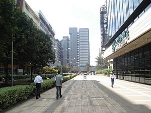 Co-operative Bank of Kenya