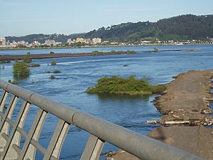 Concepcion and the Biobio River