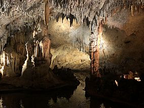 Cuevas de las Maravillas.jpg