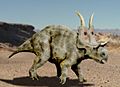 Diabloceratops NT