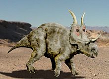 Diabloceratops NT
