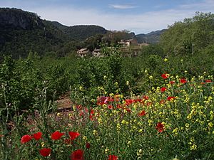 View of La Farena village