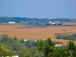 Farmland near Lodi - panoramio (1).jpg