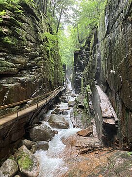 Flume Gorge July 2023.jpg
