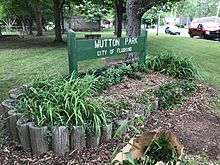 Flushing Mutton Park.jpg