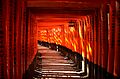 Fushimi Inari1