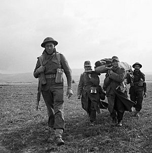 German POWs help carry a wounded British soldier during 6th Armoured Division's attack on the town of Pichon in Tunisia, 8 April 1943. NA1880