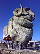 Goulburn Big Merino after being moved 10 June 2007