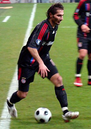 Hamit Altintop crop
