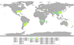Koppen World Map Cwa Cfa